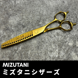 ミズタニシザーズ